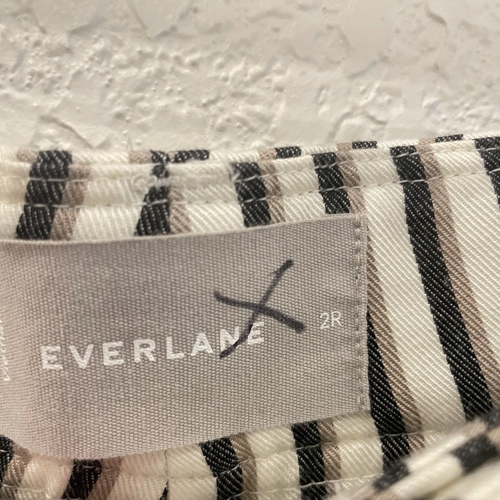EVERLANE The Way High Drape Pant Ombré Striped Size 2 Pleated Front Career Prep - Picture 5 of 11